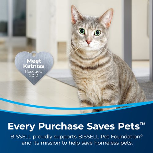 BISSELL CrossWave® X7 Replacement Filter, 3350 (Fits CrossWave X7 Series 3276A, 3277, 3011, 3055)
