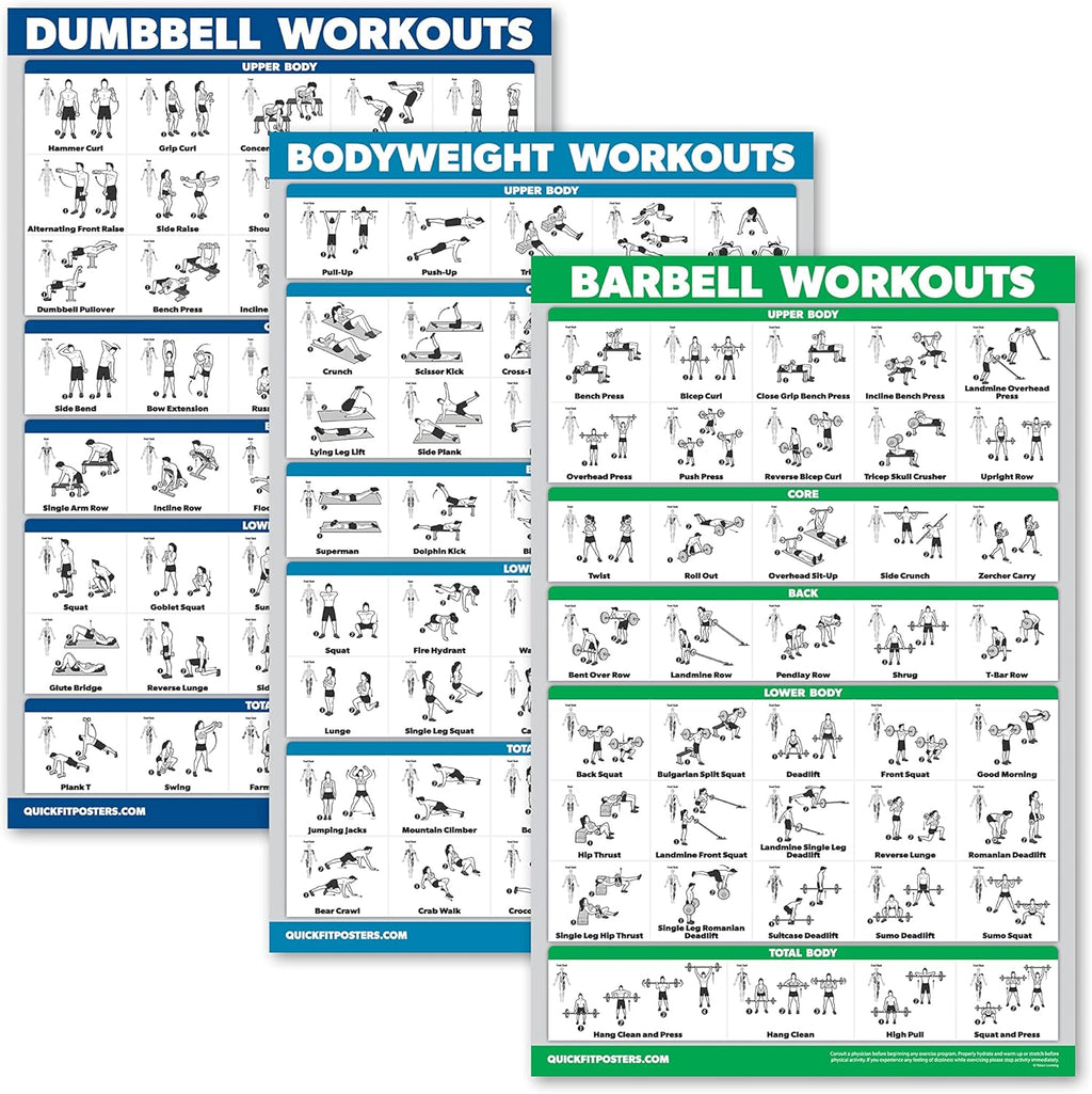 QuickFit Dumbbell Workout Posters - Laminated Exercise Charts Set of 3 (18" x 24") | Bodyweight & Barbell Routines