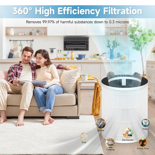 GoKBNY 2-Pack P100 / P100 Pro Replacement Filter Compatible with Welov P100/P100 Pro Purifiers, High Efficiency Filtration Systems