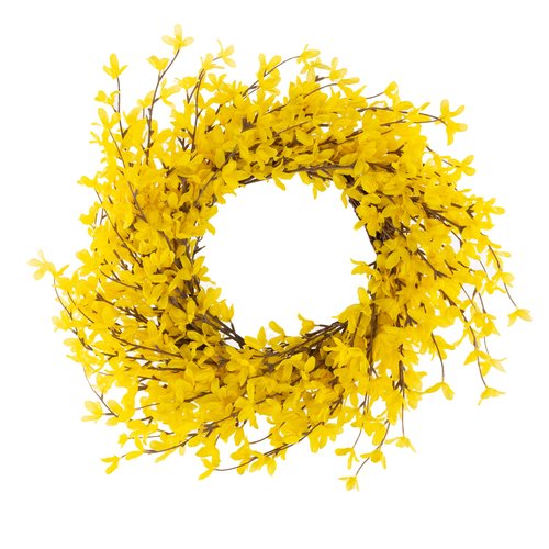 Yellow Forsythia Wreath - 24-Inch Artificial Spring Wreath for Home Decor - Wreaths for Indoors or Covered Patio Use Only by Pure Garden