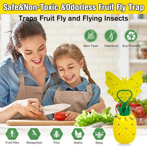 Fruit Fly Trap - Effective Gnat Killer with Non-Toxic Reusable Stickers | 2 Pack for Indoor Use