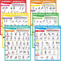 Gisgfim Workout Posters - 6PCS Home Gym Exercise Charts for Dumbbell & Bodyweight Stretching