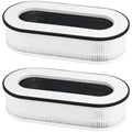 Fette Filter - RP-AP068 Replacement Filter, Compatible with RENPHO Air Purifier RP-AP068 RP-AP068W RP-AP068B RP-AP068-F2 Filter, 3-in-1 H13 Grade True HEPA Filters - Pack of 2
