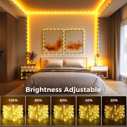 Minetom 33FT Color Changing LED Rope Lights - 100 Waterproof String Lights with Remote | Twinkle Effect for Indoor & Outdoor Decor