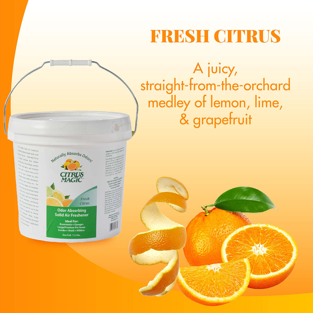 Citrus Magic Odor Absorbing Solid Air Freshener, Fresh Citrus, 11.5-Pound