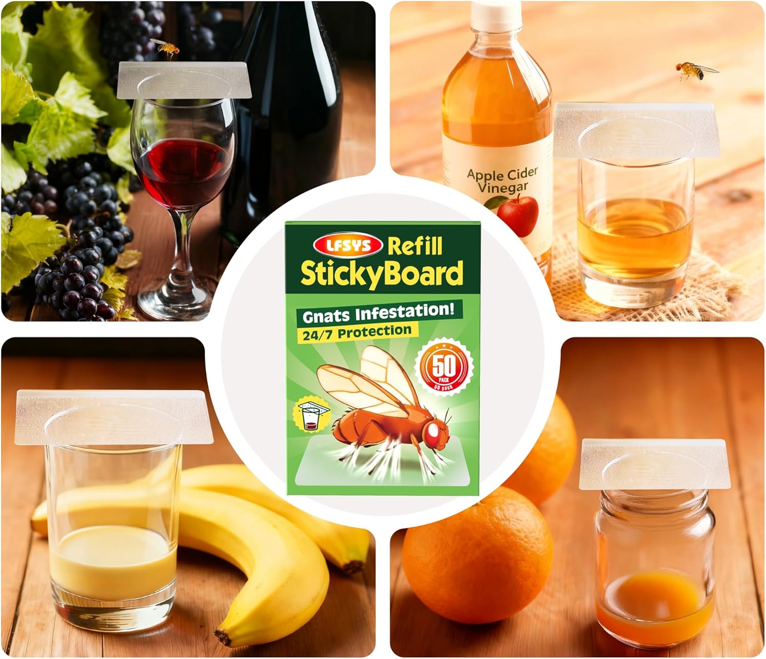 Regine Switzerland Double-Sided Sticky Trap Covers - 25 Pack Adhesive Cards for Fruit Flies | Clear, Mess-Free Indoor Use