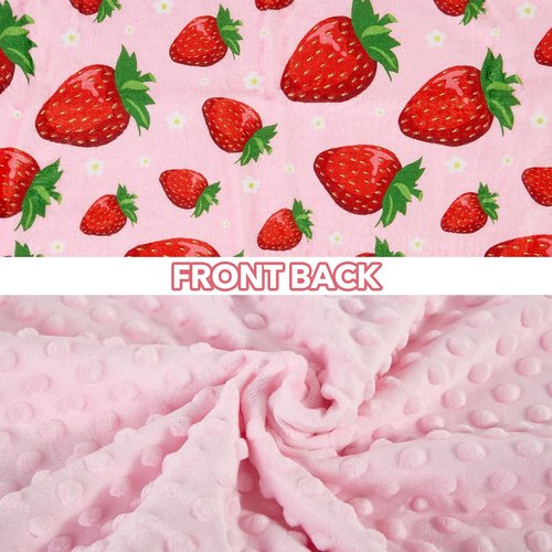 Strawberry Baby Blanket for Boys Girls Soft Fleece Minky Blanket with Dotted Backing Double Layer Newborn Toddler Blankie for Nursery Stroller Crib Gift to Son Nephew Grandson 26.5 * 40 Inches