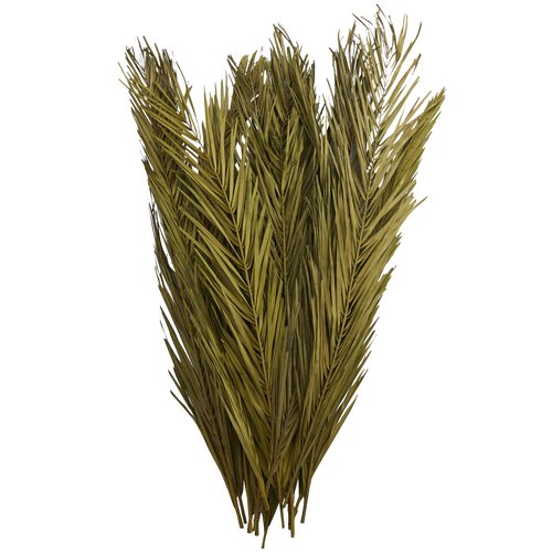 Deco 79 Dried Plant Palm Leaf Home Decor Natural Foliage Natural Dried Foliage with Feather Inspired Stems, Foliage for Decoration 4" x 1" x 43", Green