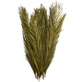 Deco 79 Dried Plant Palm Leaf Home Decor Natural Foliage Natural Dried Foliage with Feather Inspired Stems, Foliage for Decoration 4" x 1" x 43", Green