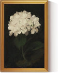 HUARCEY Vintage Wall Art - Gold Framed Flower Canvas Print for Living Room | 24"x36" White Hydrangea