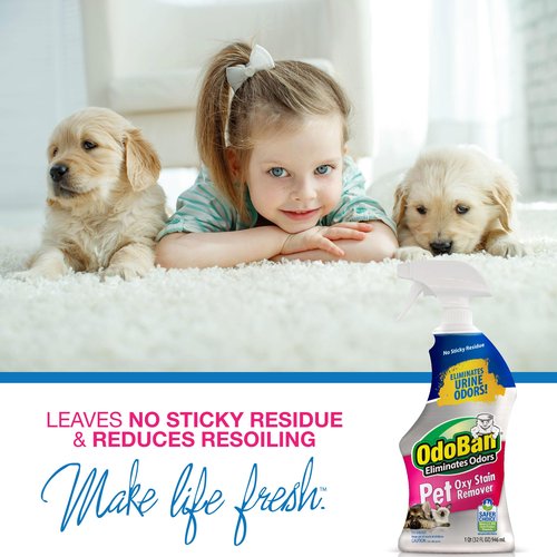 OdoBan Pet Solutions No Rinse Neutral pH Floor Cleaner Concentrate, Made in the USA, 1 Gallon, and Oxy Stain Remover, 32 Ounce Spray