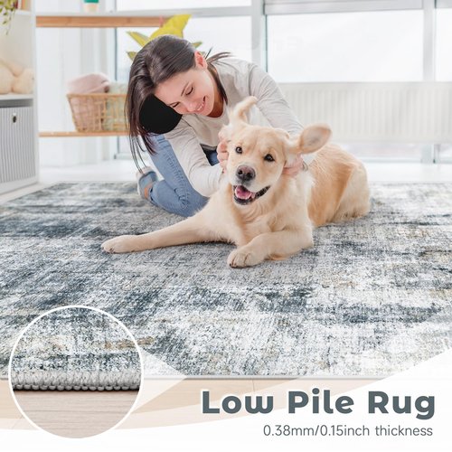 8x10 Area Rug for Living Room: Washable Abstract Soft Rugs Non Slip Modern Stain Resistant Low Pile Carpet for Dining Room Bedroom Nursery Office (Multi Blue, 8'x10')