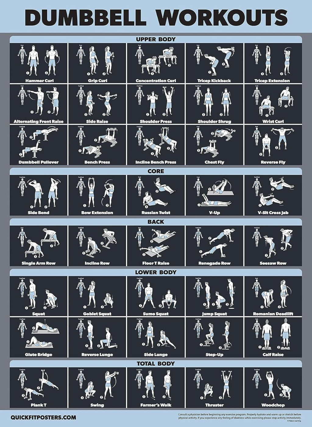 Palace Learning Dumbbell Workout Exercise Poster - Laminated, 18" x 24" | Dark Design