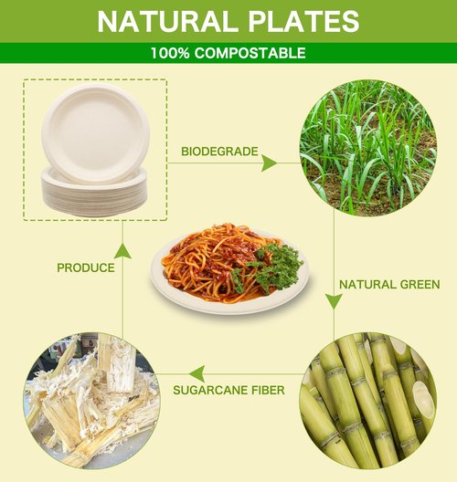 BLUE TOP 100% Compostable Disposable Paper Plates Heavy Duty Waterproof Plates-50 Pack 10 inch Eco-Friendly Plates, Natural Biodegradable Sugarca Bagasse Dinner Plates Unbleached Brown