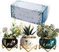 PeraBella 3-Piece Succulent Planter Set - Perfect Romantic Gift for Her | Home Decor for Any Occasion