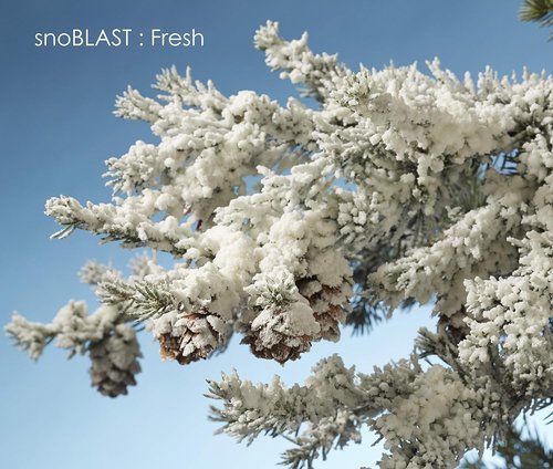 Design Master 840 Snow Blast Spray - White | 32.48" Height for Stunning Winter Decor