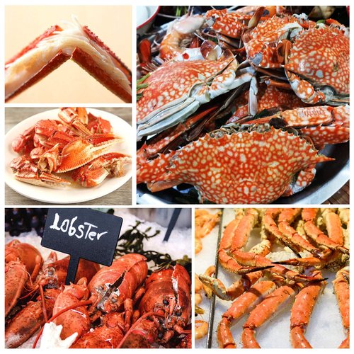 32 Pcs Crab Crackers and Tools, Crab Crackers Sets, Lobster Cracker, Heavy Duty Seafood Tools, Nut Cracker Set