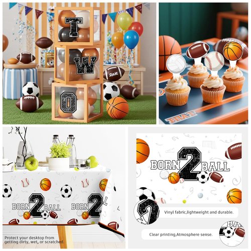 291 PCS Born 2 Ball Birthday Decorations, All-in-One Party Pack with Backdrop, Balloon, Plates and Napkins, for Ball Themed 2nd Birthday Party, Serves 25 Guests