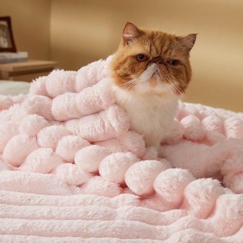 Bedsure Pink Throw Fuzzy Blanket for Couch - 350GSM Super GentleSoft Fluffy Cozy Plush Blankets for Women, Cute Small Fleece Throws for Girls, 50x60 Inches, Wider Striped Design