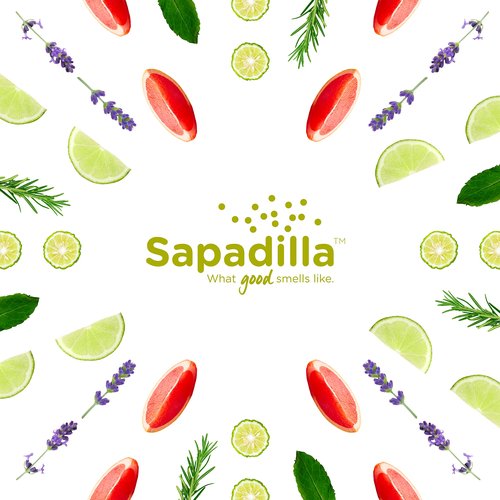 Sapadilla Sweet Lavender + Lime Biodegradable All-Purpose Cleaner Concentrate, 25 Ounce