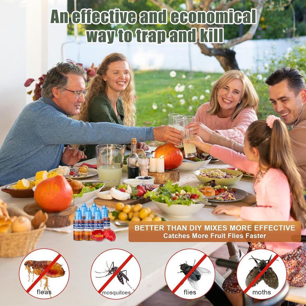 Regine Switzerland Fruit Fly Trap Refill Liquid - Effective Gnat Killer & Long-Lasting Bait (6 Pack)