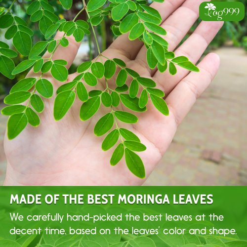 TOG999, Premium 8oz Moringa Leaf Powder, 100% Natural and Pure from Moringa Leaves, No Additives, No Gluten, No Sugar, Vegan