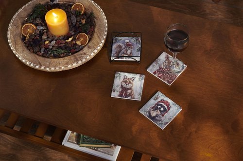 Primitives by Kathy Winter Animal Coaster Set