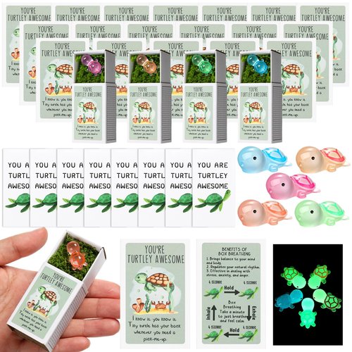 Wonderjune Employee Appreciation Gifts Bulk Emotional Coworker Support Small Gifts for Teacher Social Worker Volunteer Lab Week Office Staff End of Year Presents Adults Party Favors(Turtle)