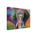 Trademark Fine Art Elephant 2 Artwork by Richard Wallich, 24 by 32-Inch