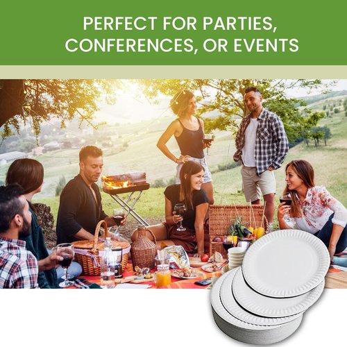 Perfect Stix Economy White Paper Plate, 9" Paper Uncoated Plate 9inches.500 Count Paper Plates., Medium