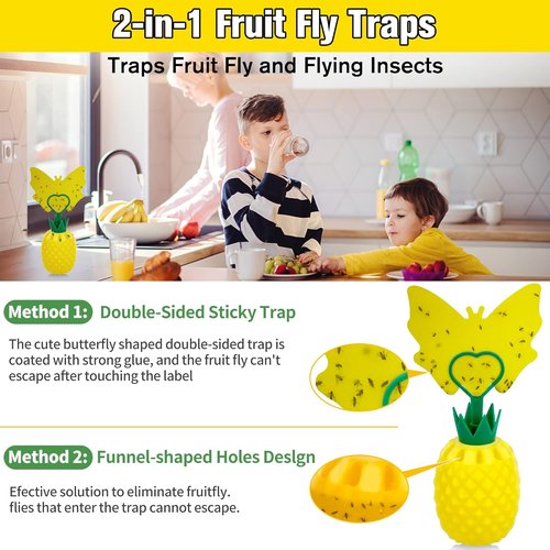 Fruit Fly Trap - Effective Gnat Killer with Non-Toxic Reusable Stickers | 2 Pack for Indoor Use