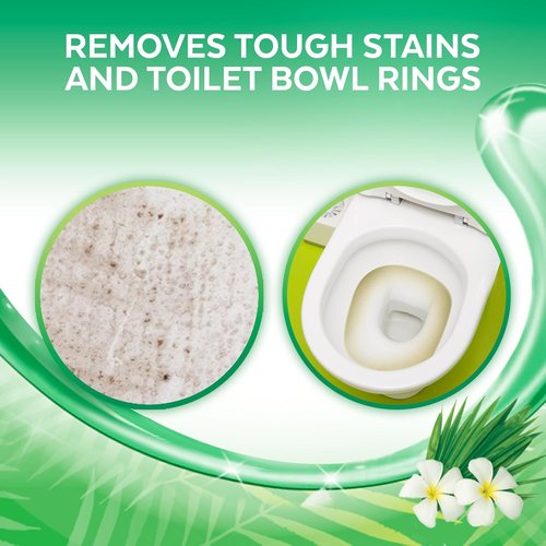 Lysol Toilet Bowl Cleaner Gel - Powerful Stain Removal & Disinfection | Forest Rain Scent, 24oz (Pack of 2)