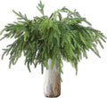 Bdor 18-Inch Artificial Norfolk Pine Branches - 12 Pack Faux Christmas Greenery for Wreaths & Centerpieces