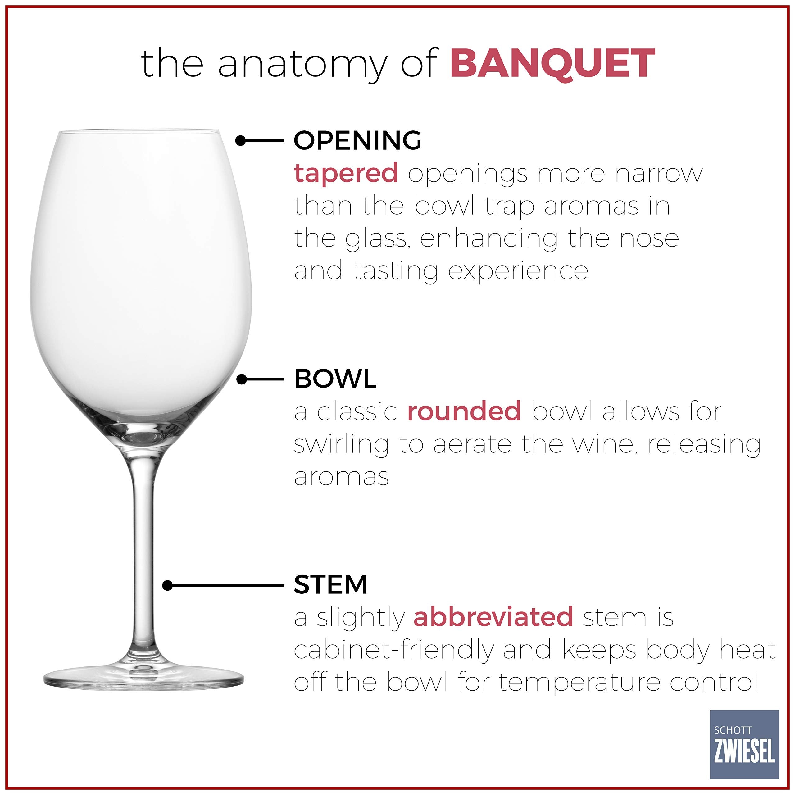 Schott Zwiesel Tritan Crystal Glass Banquet Stemware Collection Bordeaux Wine Glass, 20.3 Ounce, Set of 6