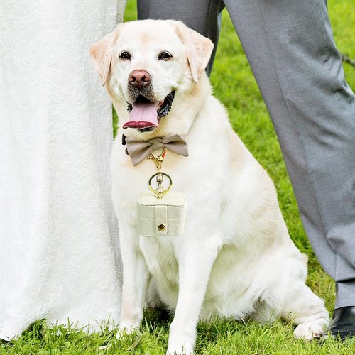 Ring Bearer Pillows for Dog Collar, PU Leather Wedding Ring Pillow Box for Pet, Mini Ring Holder Pouch Box, Earrings Storage Box for Proposal Engagement Wedding Ceremony Party Ivory