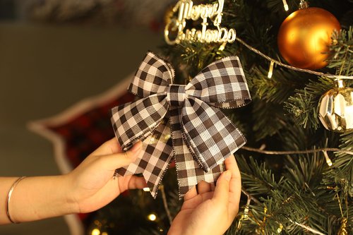 VATIN 2-1/2 Inch x Continuous 10 Yards Black and White Buffalo Plaid Wired Ribbon,Ribbon for Big Bow,Wreath,Tree Decoration,Outdoor Decoration