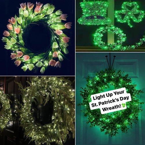 Beingreat 2 Pack USB Plug-in Fairy Lights, 33ft 100 Mini LED String Lights with Black Green Wire for Bedroom Wedding St. Patrick's Day Christmas Party DIY Crafting, Green