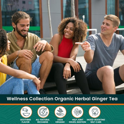Herbaly Wellness Collection Tea - 8 Active Herbs - Improve General Health, Strengthen Immunity - Natural, Organic, Non-GMO, Vegan, Sugar Free - 3 Pack, 84 Pyramid Tea Bags