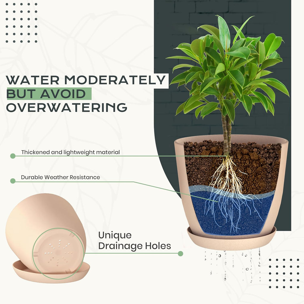 Utopia Home - Indoor Plant Pots with Drainage - 7 to 4.8 Inches, Pink Plastic Planters for Succulents & Cacti | Pack of 10