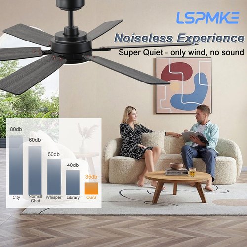lspmke Ceiling Fan with Light and Remote, 52 Inch Ceiling Fans with Lights, Downrod Mount, Reversible DC Motor, 3CCT, Dimmable, Quiet, Black Ceiling Fan for Bedroom, Livingroom Indoor/Outdoor Use