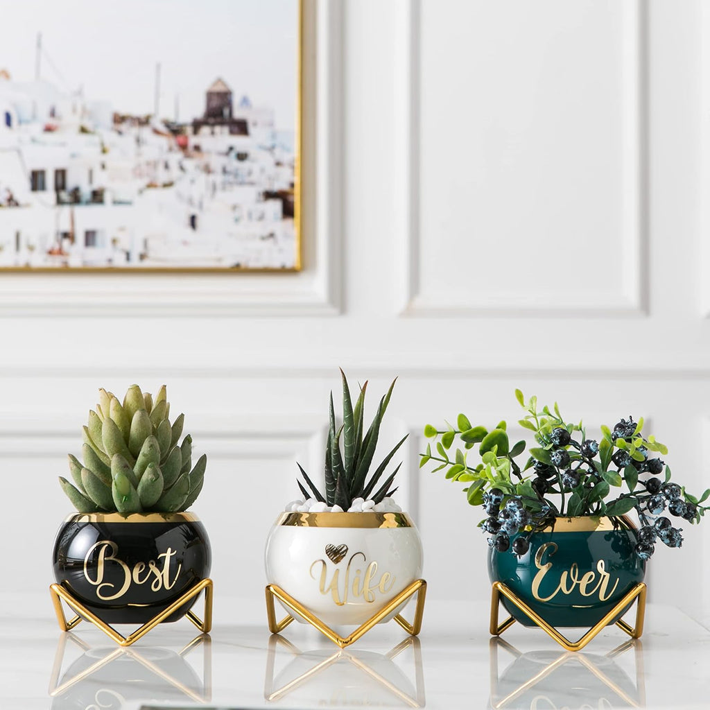 PeraBella 3-Piece Succulent Planter Set - Perfect Romantic Gift for Her | Home Decor for Any Occasion
