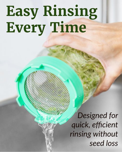 Elementi Sprouting Lids for Wide Mouth Mason Jars (Set of 4), Sprouting Jar Kit for Organic Alfalfa & Mung Bean Sprouts Growing Kit, 316 Stainless Steel Mesh Screen Strainer Lid (Sage Green)