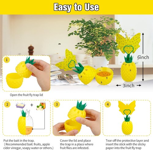 Fruit Fly Trap - Effective Gnat Killer with Non-Toxic Reusable Stickers | 2 Pack for Indoor Use
