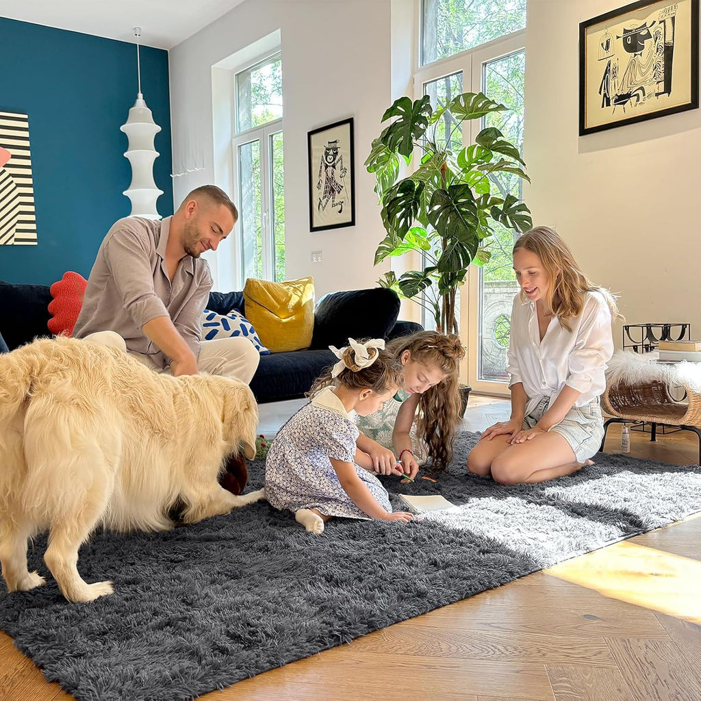 OLANLY Area Rugs - Soft Fluffy Shaggy Carpet for Living Room & Bedroom | Machine Washable, Grey