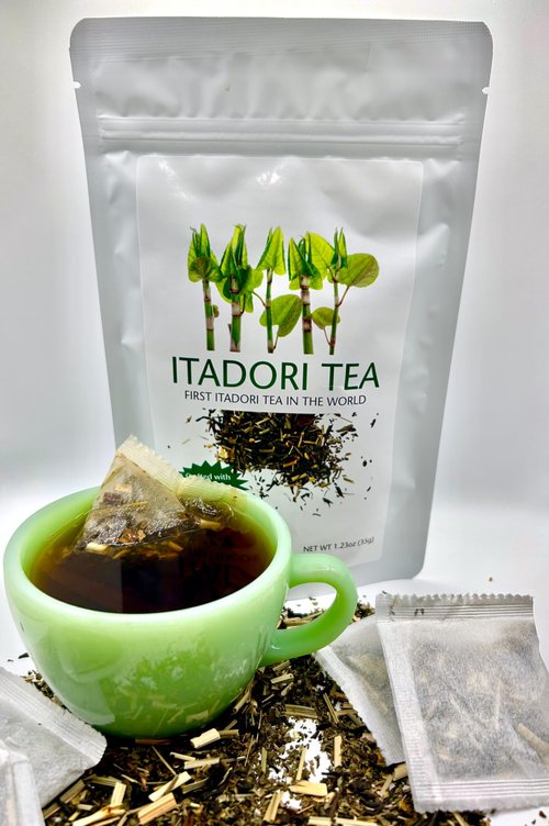 Itadori Tea - Organic Black Tea With Japanese Knotweed For Resveratrol & Immune Support, Antioxidant-Rich, All-Natural Ingredients, 14 Tea Bags for Holistic Wellness