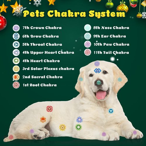 2025 Crystal Advent Calendar for Girls - 24-Day Christmas Countdown with Natural Chakra Stones Healing Gemstones - Perfect for Grandparents,Pet Owners Give Christmas Countdown Gifts for Boys, Cat/Dog