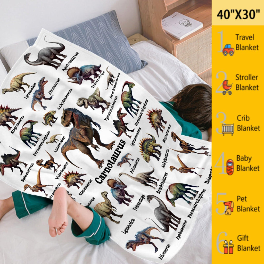 Dinosaur Blanket Gifts for Boys, Jurassic Dino Throw Blanket Gifts for Baby Girls Decor Animal Wild Plush Soft Lightweight Flannel Fleece Dinosaurs Blankets Sheet for Nursery Stroller Toddler 40x30In