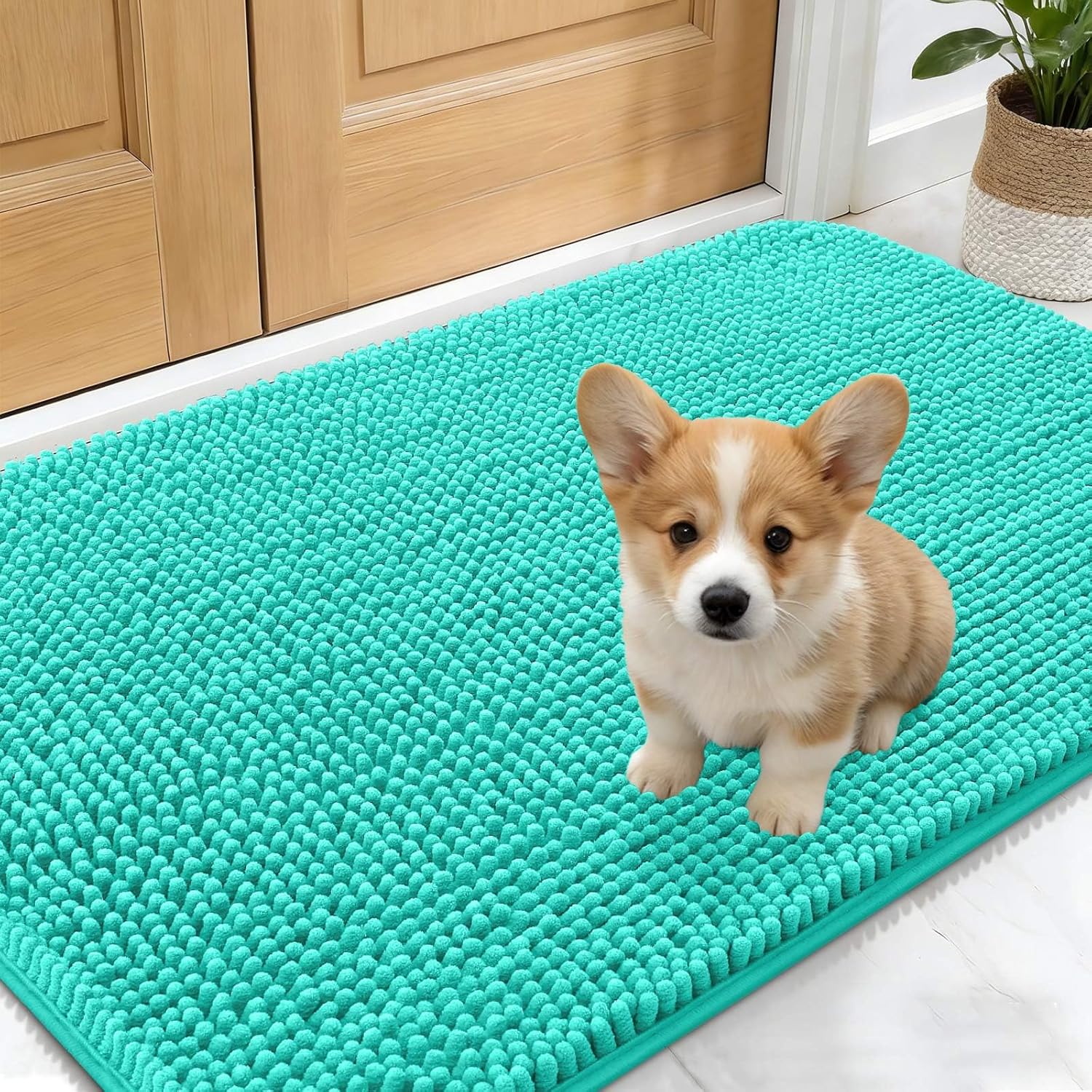OLANLY Dog Door Mat - Absorbent Non-Slip Mud Mat for Dogs | Quick Dry Chenille, 24x16, Teal