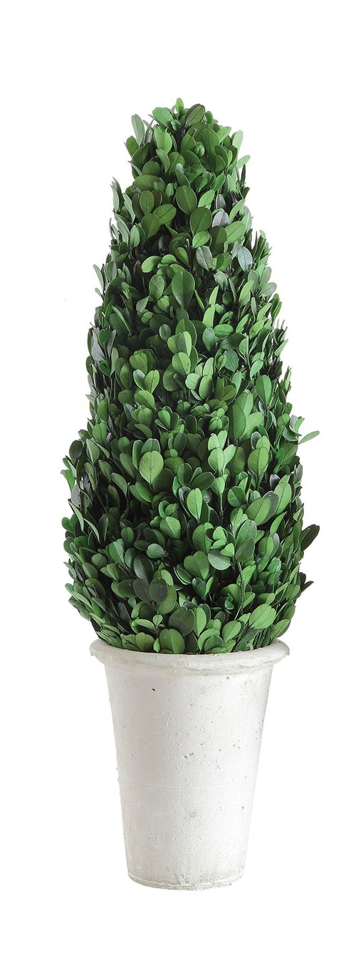 Creative Co-Op Boxwood Topiary in Clay Pot