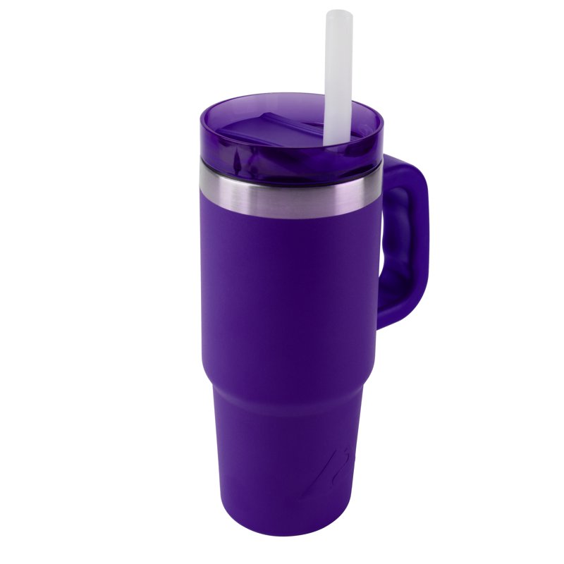 18 oz Stainless Steel Insulated Tumbler with Handle - Purple